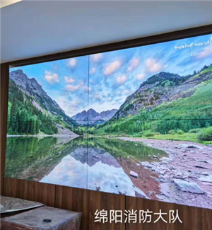 四川綿陽消防隊(duì)55寸0.88mm2X2壁掛支架+處理器